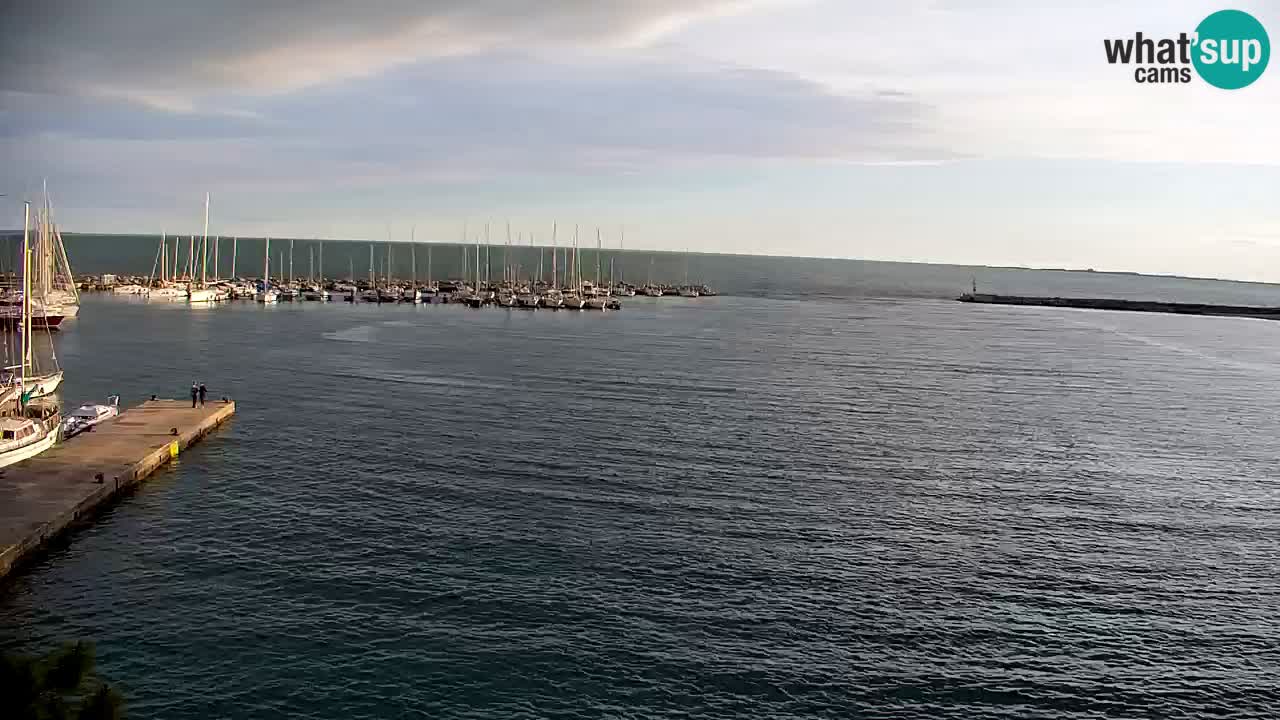 Webcam Sistiana – Marina and Bay Live View