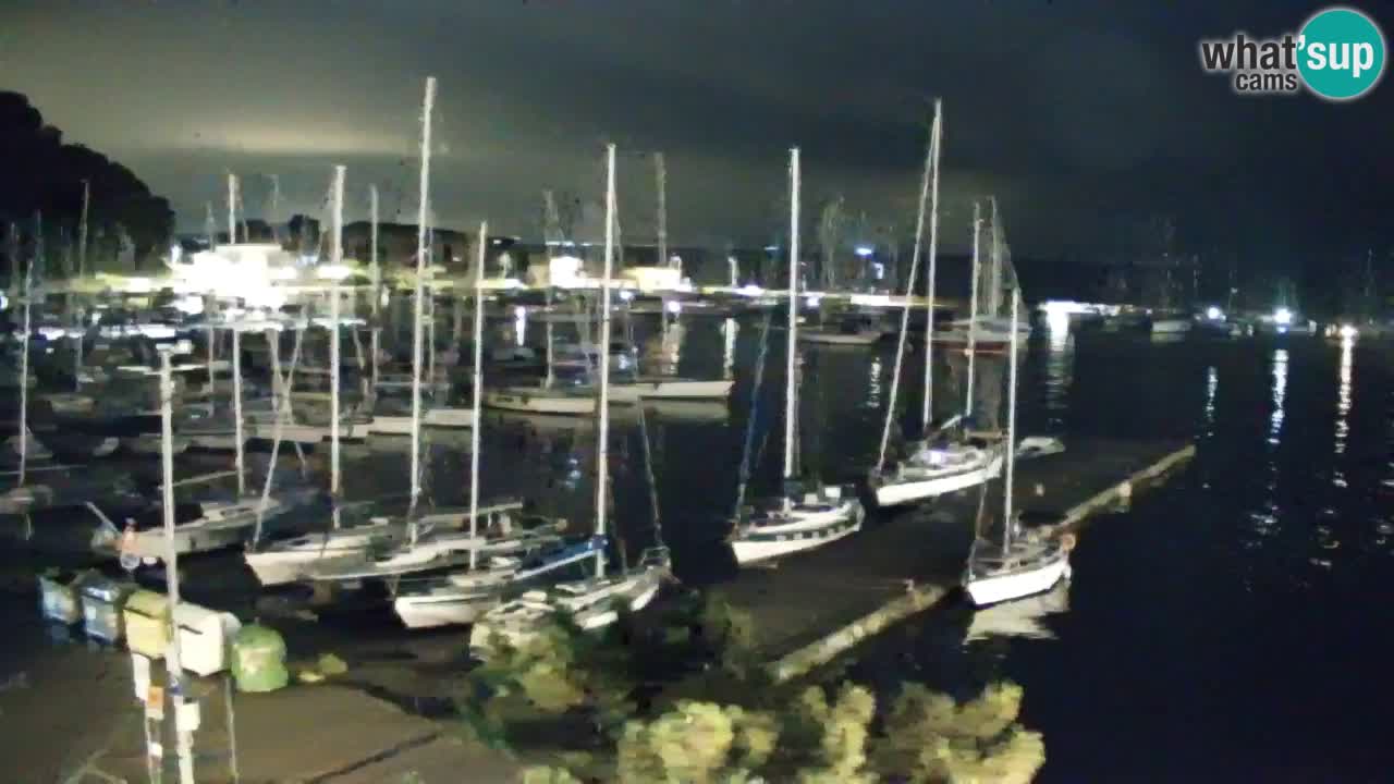 Webcam Sistiana – Vue sur la marina et la baie