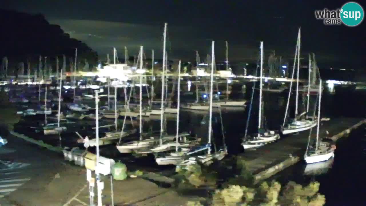 Webcam Sistiana – Marina and Bay Live View