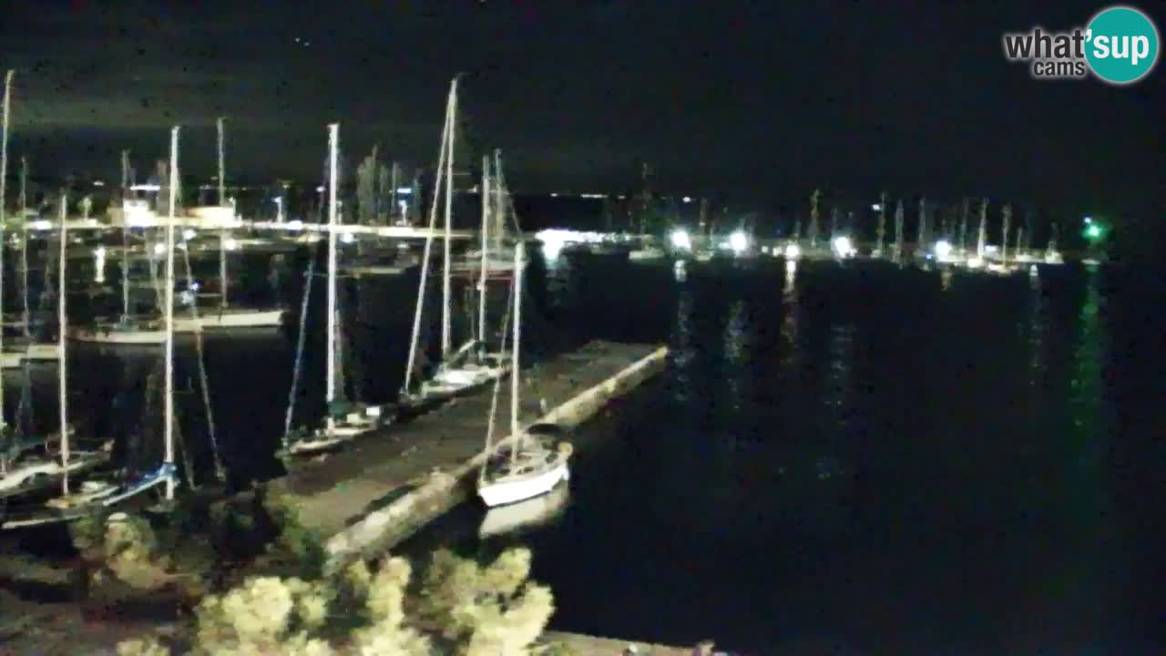 Spletna kamera Sesljan (Sistiana) – Pogled na marino in zaliv