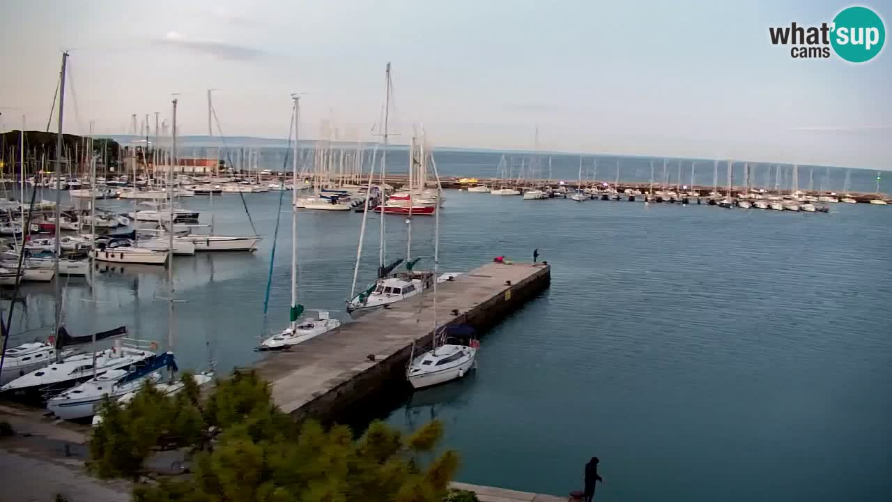 Webcam Sistiana – Vista sobre la marina y la bahía