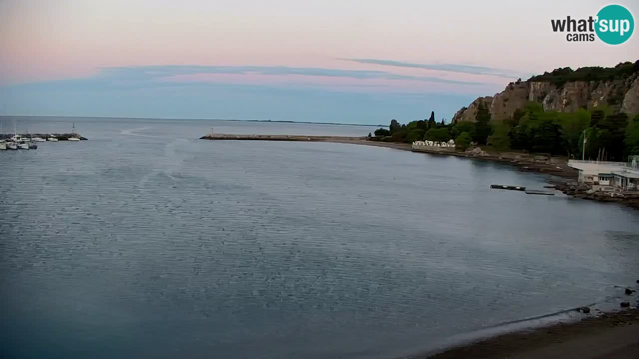 Spletna kamera Sesljan (Sistiana) – Pogled na marino in zaliv
