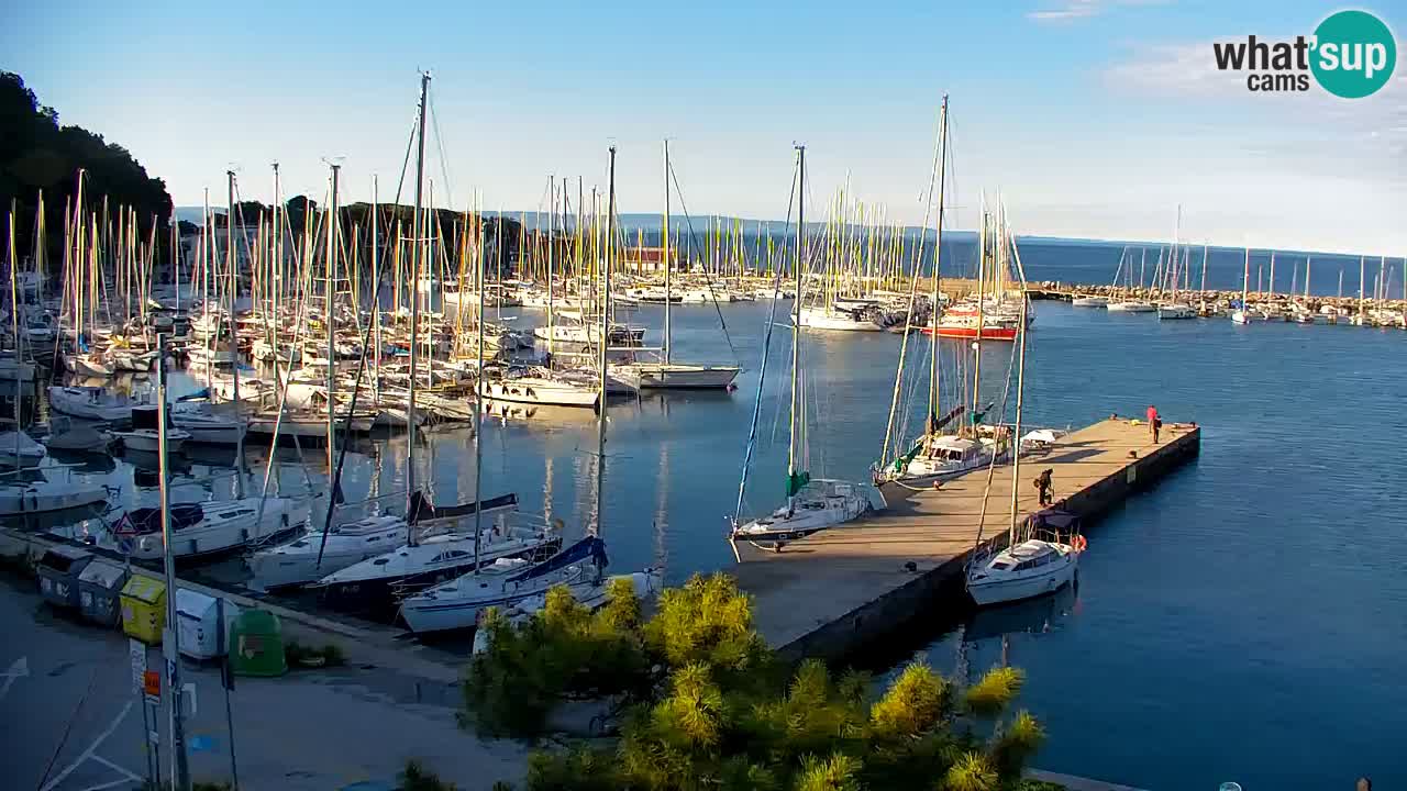 Webcam Sistiana – Pogled na marinu i zaljev