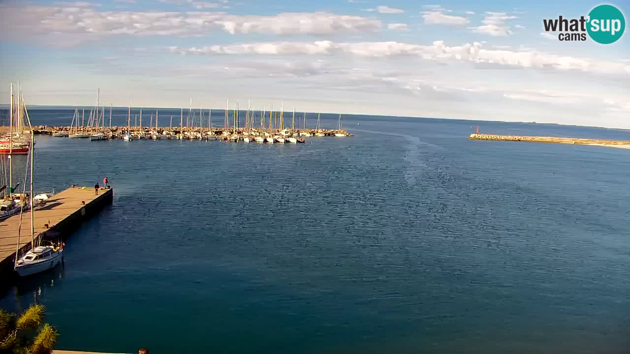 Webcam Sistiana – Vista sobre la marina y la bahía