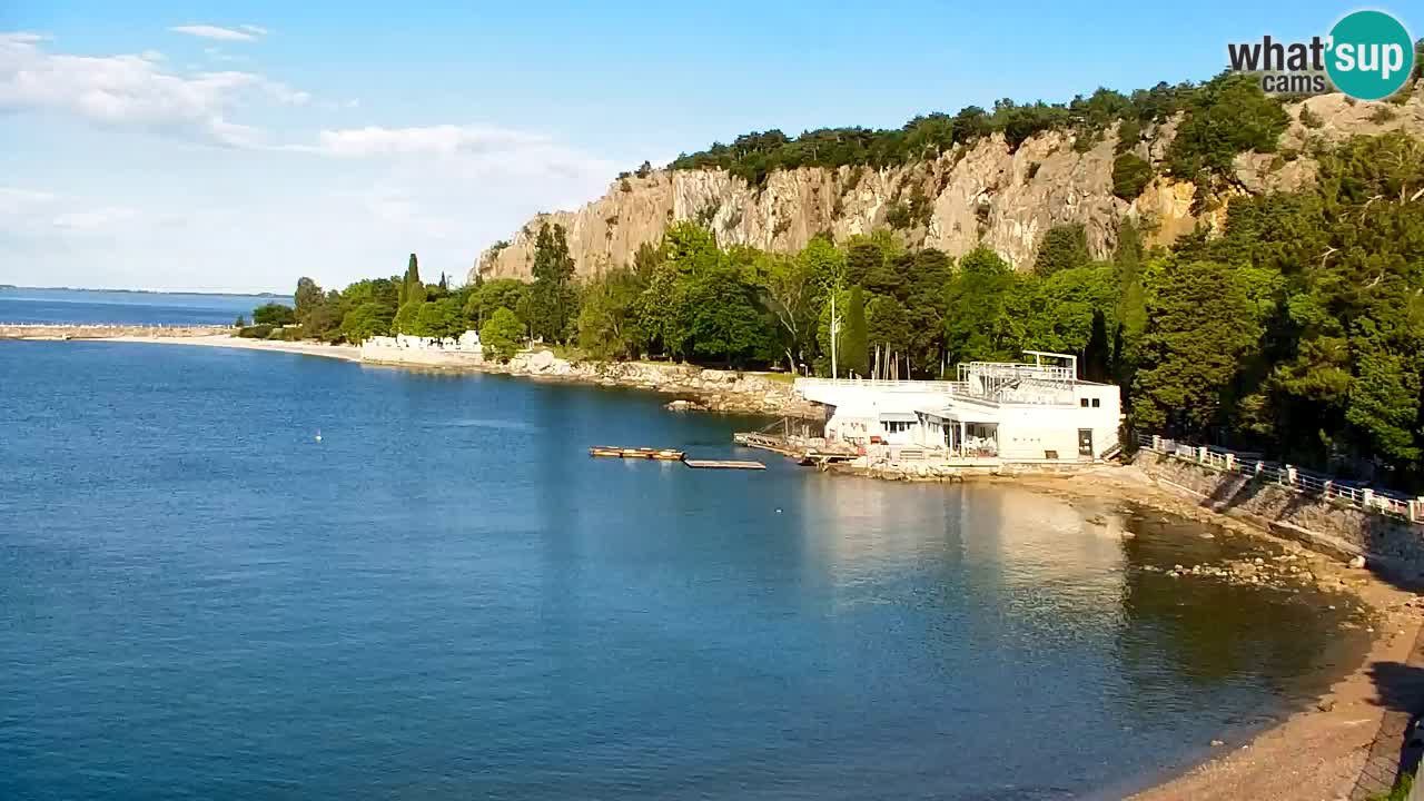 Webcam Sistiana – Marina and Bay Live View