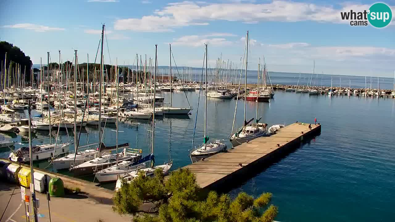 Webcam Sistiana – Pogled na marinu i zaljev