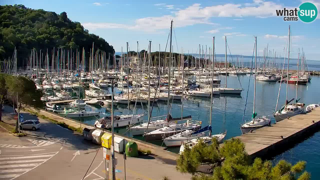 Webcam Sistiana – Marina and Bay Live View
