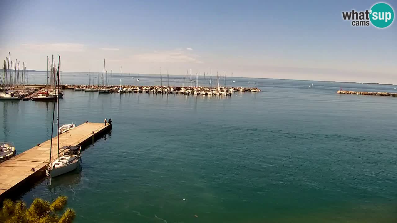 Webcam Sistiana – Pogled na marinu i zaljev