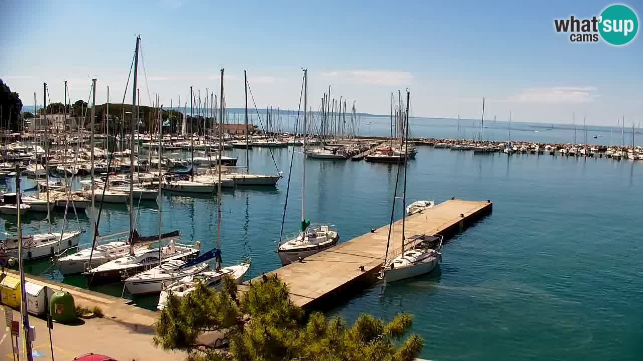 Webcam Sistiana – Vista sobre la marina y la bahía