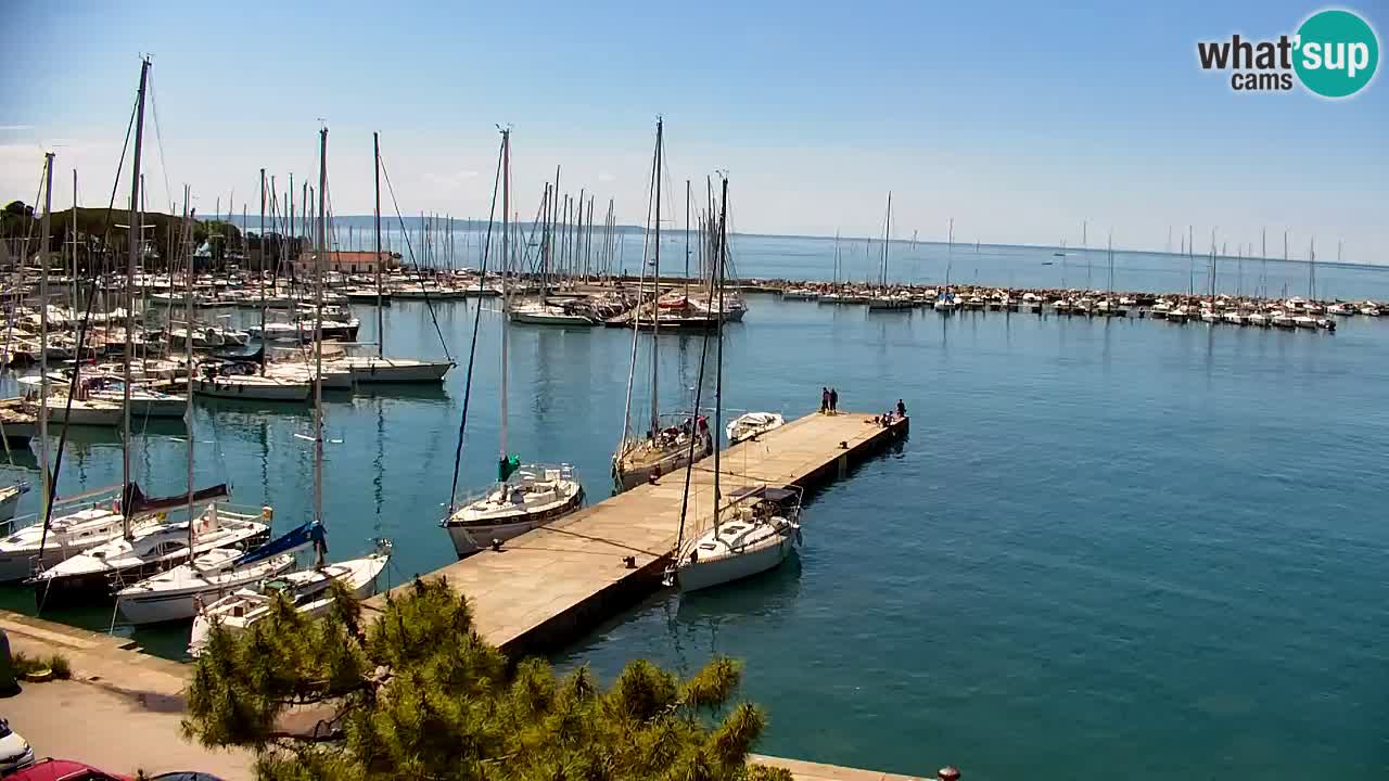 Webcam Sistiana – Vista sulla marina e sulla baia