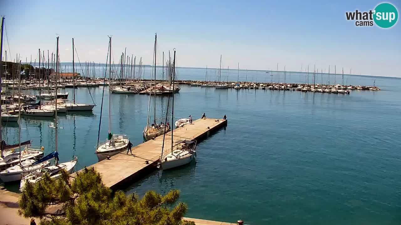 Webcam Sistiana – Vista sulla marina e sulla baia