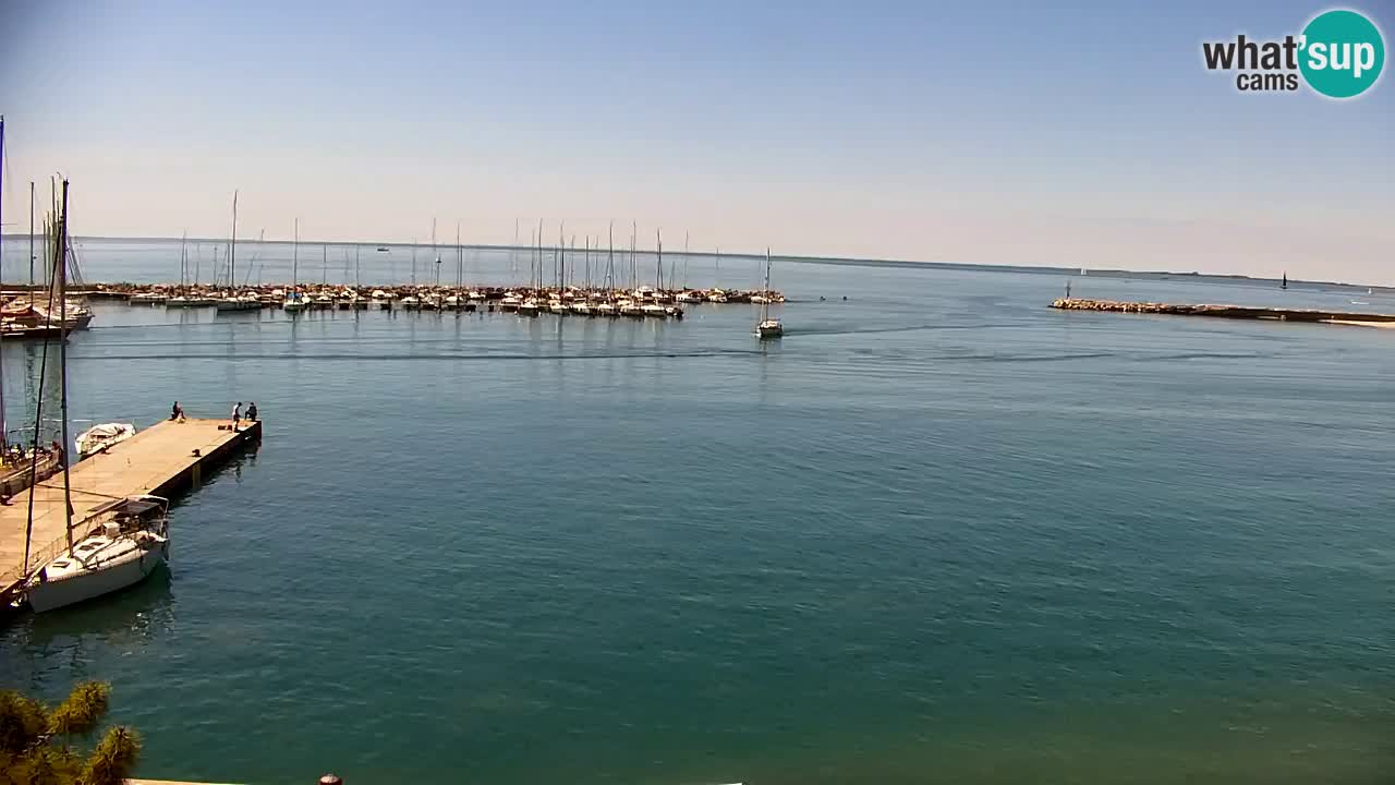 Webcam Sistiana – Pogled na marinu i zaljev