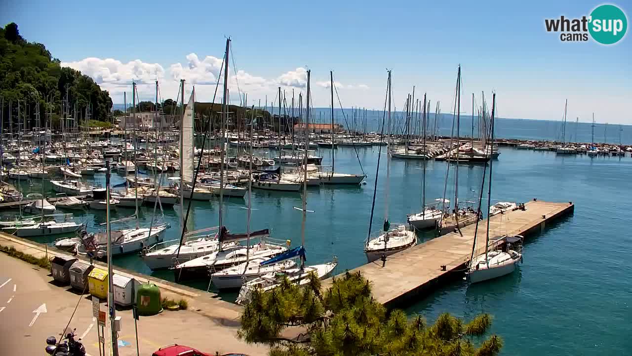 Webcam Sistiana – Marina and Bay Live View