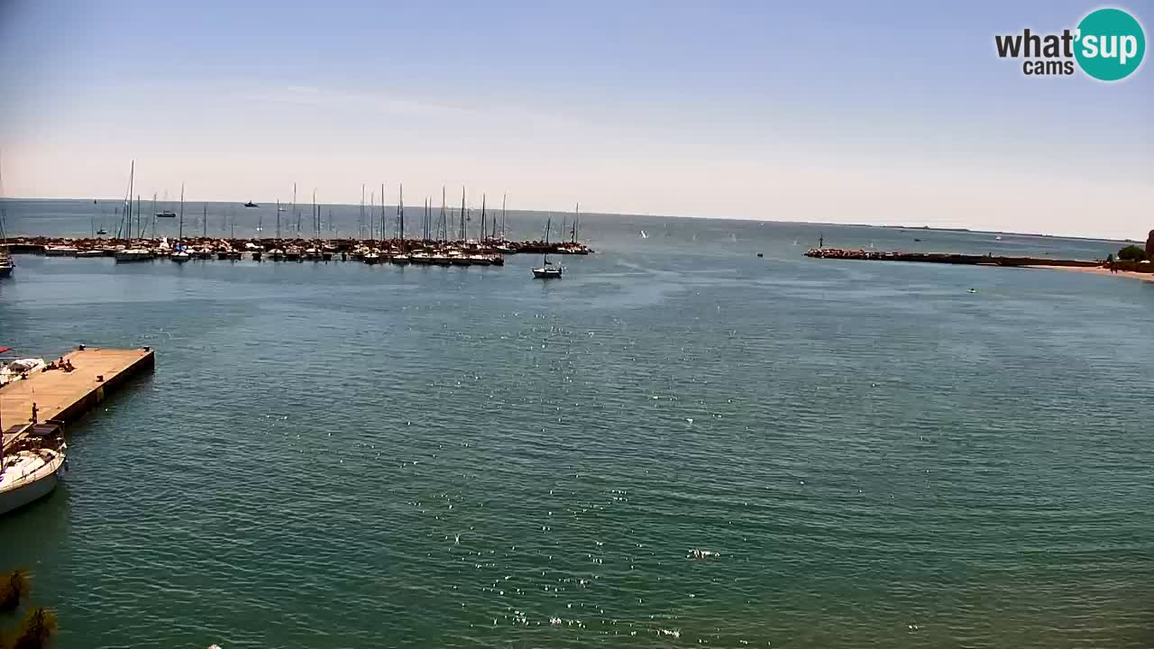 Webcam Sistiana – Marina and Bay Live View