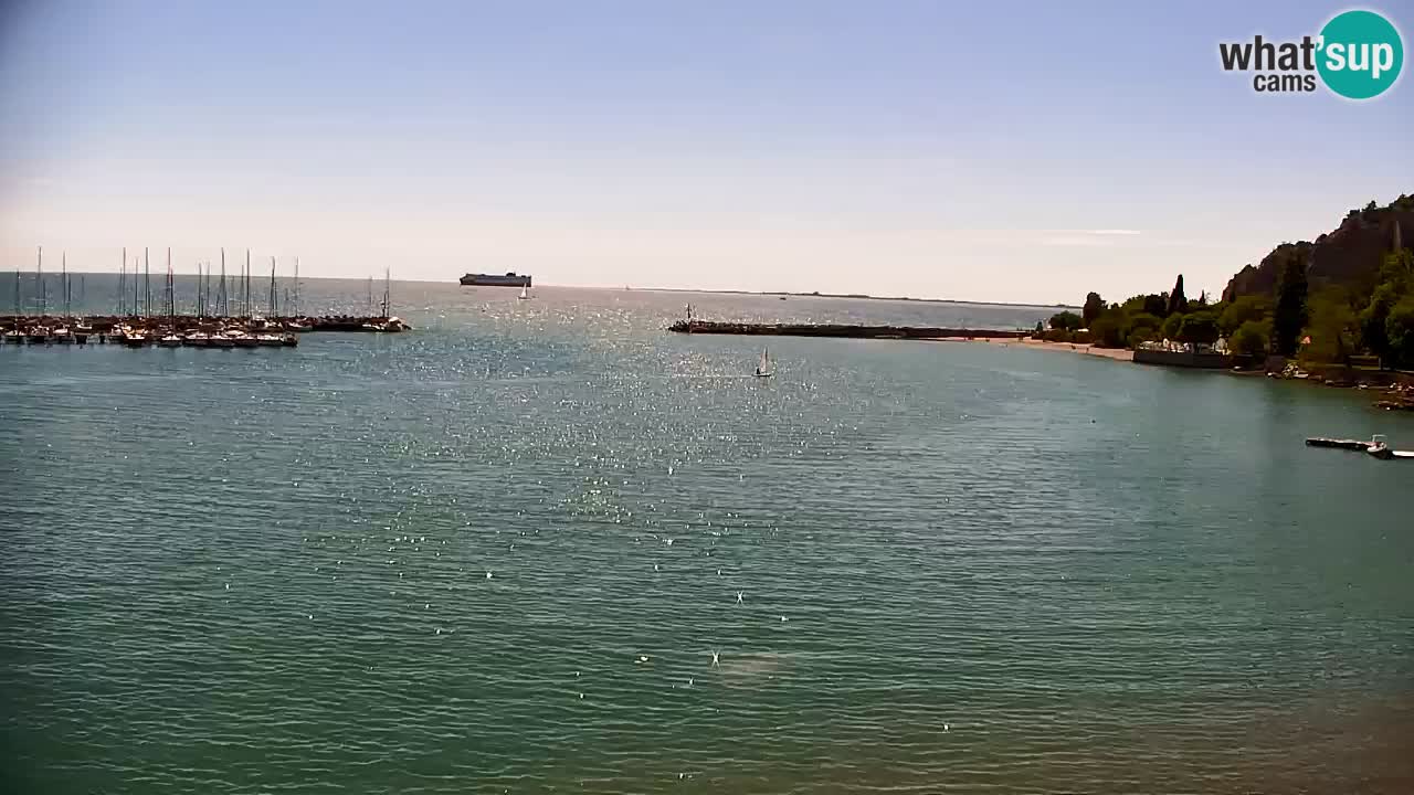 Webcam Sistiana – Marina and Bay Live View