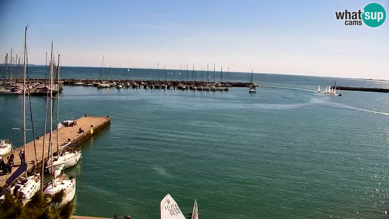 Webcam Sistiana – Pogled na marinu i zaljev