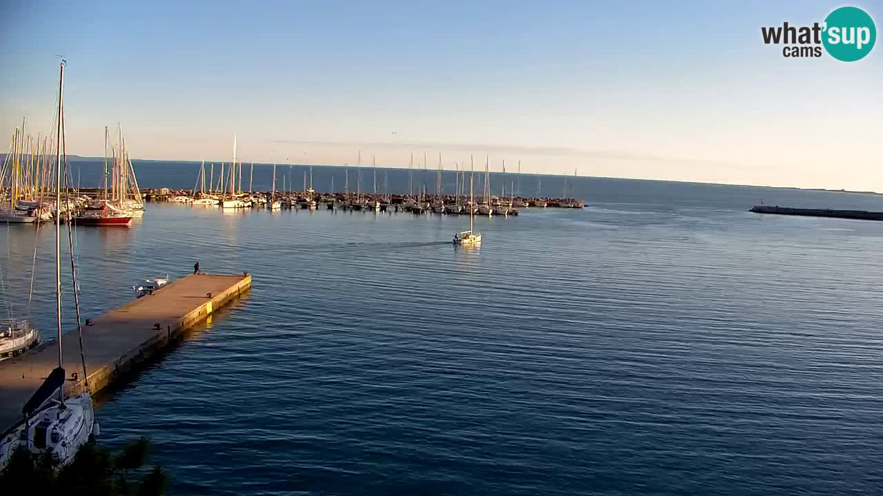 Spletna kamera Sesljan (Sistiana) – Pogled na marino in zaliv