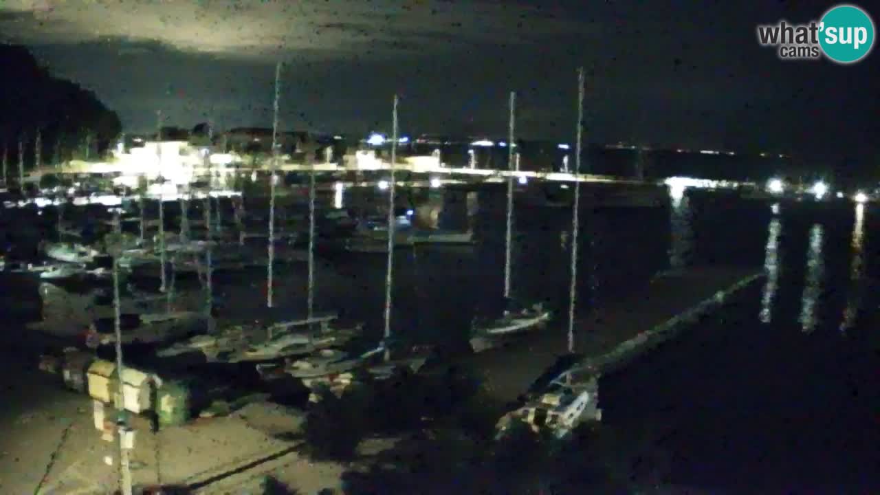 Webcam Sistiana – Pogled na marinu i zaljev