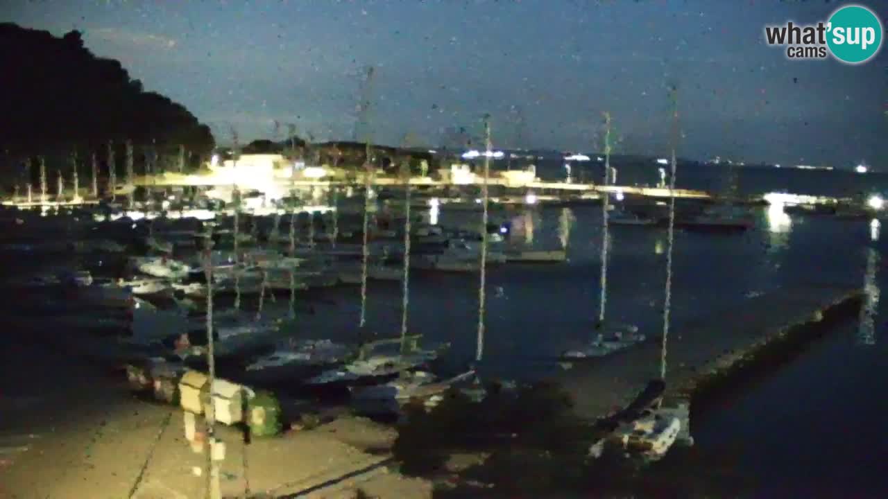 Webcam Sistiana – Vista sulla marina e sulla baia