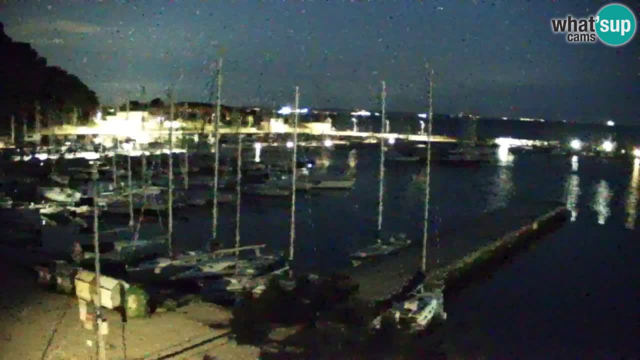 Spletna kamera Sesljan (Sistiana) – Pogled na marino in zaliv