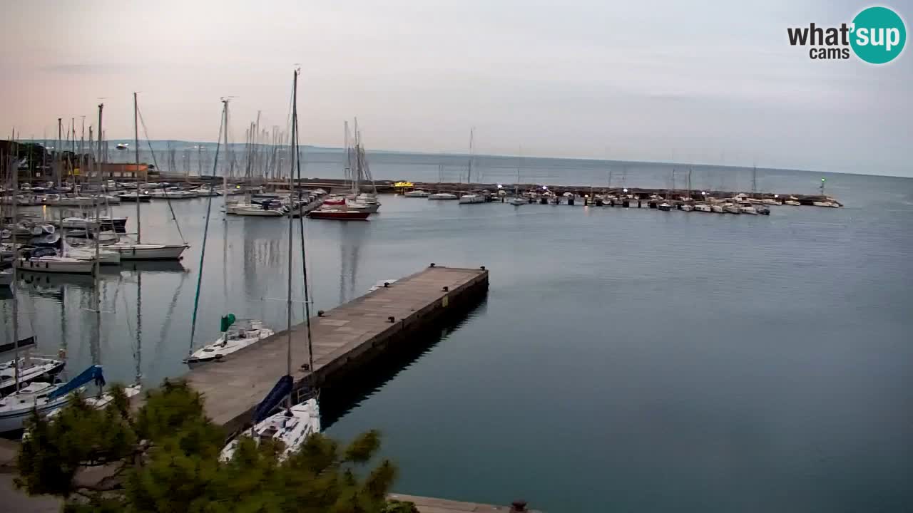 Webcam Sistiana – Vista sobre la marina y la bahía