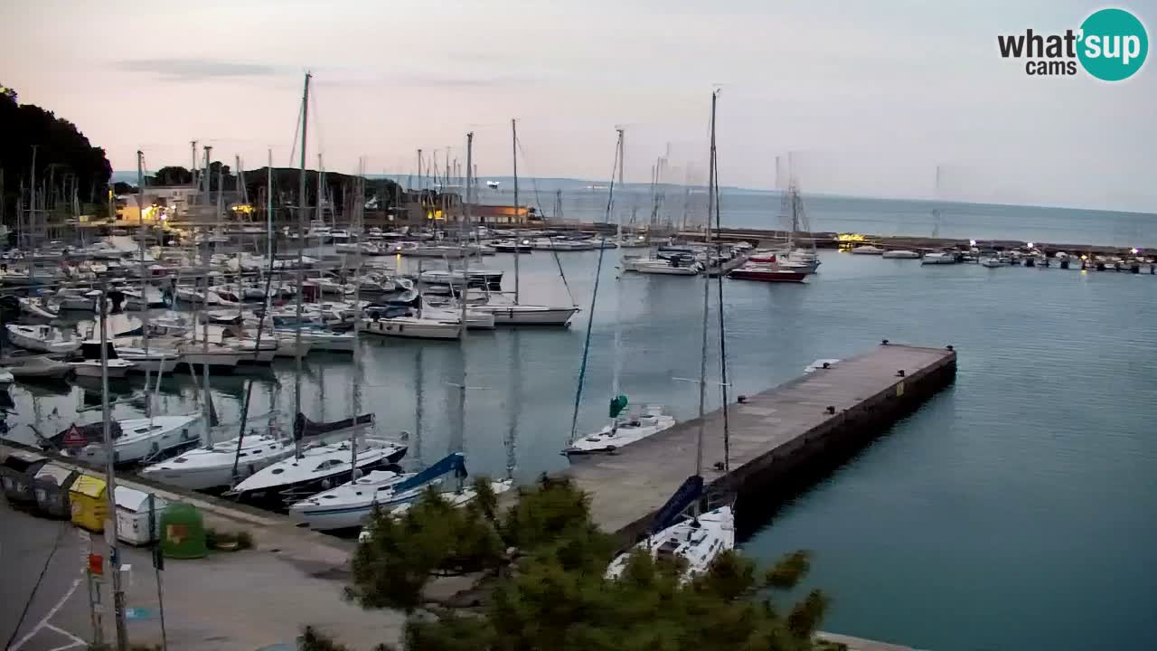 Webcam Sistiana – Blick auf Marina und Bucht