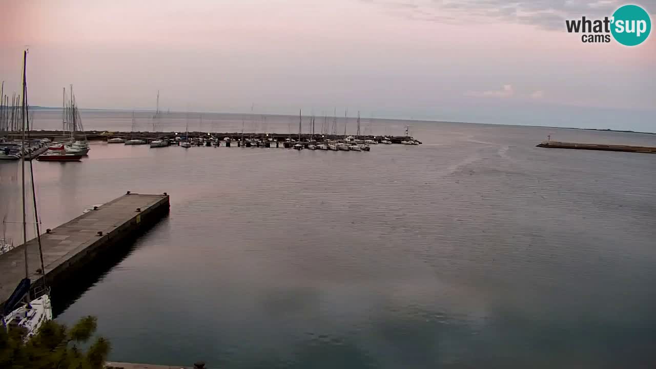 Webcam Sistiana – Marina and Bay Live View