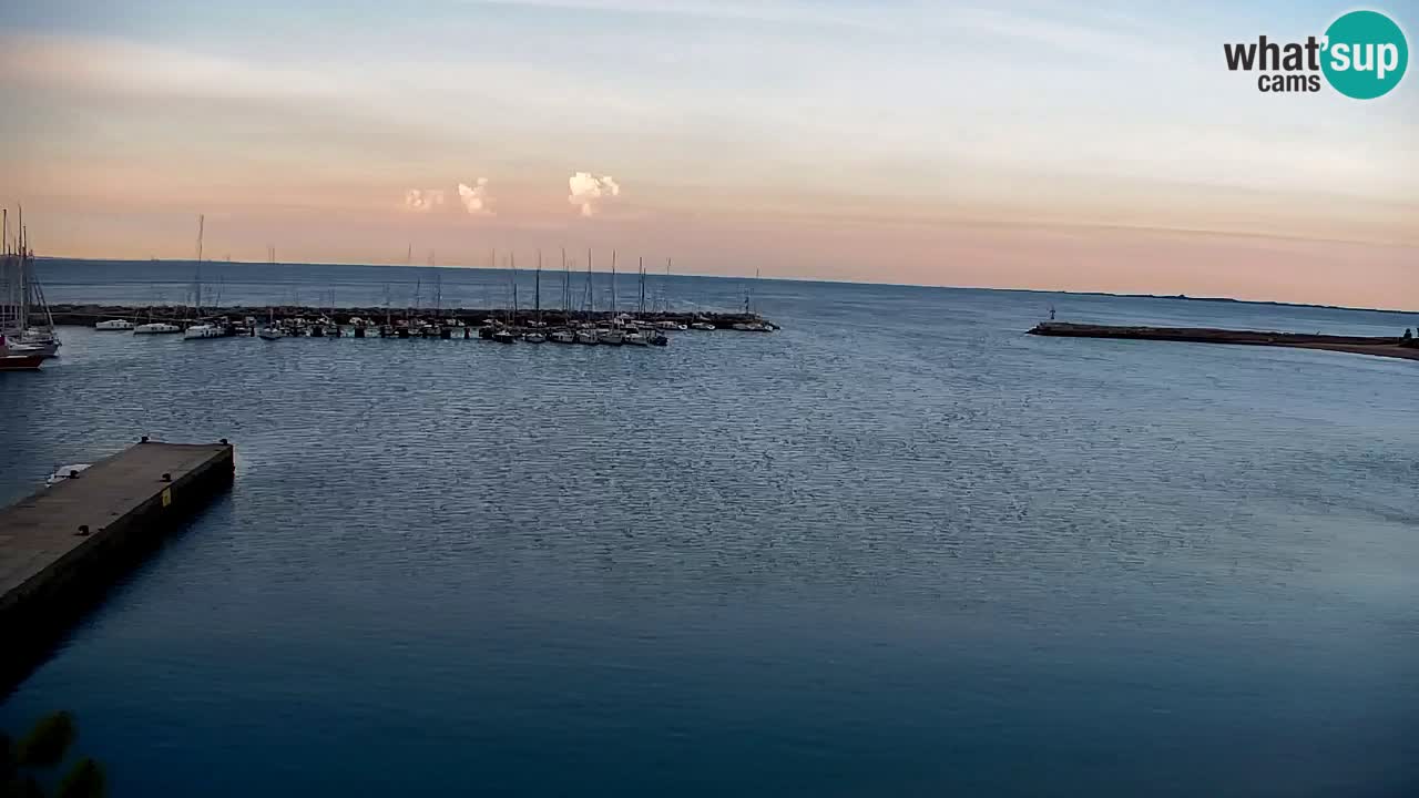 Webcam Sistiana – Marina and Bay Live View