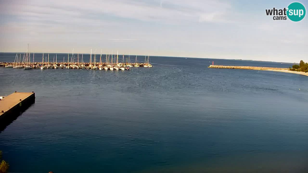 Webcam Sistiana – Vista sobre la marina y la bahía