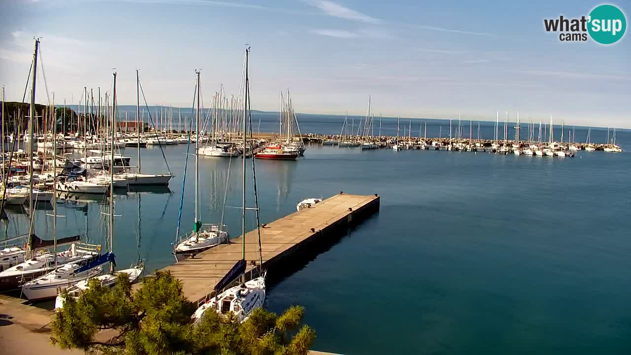 Webcam Sistiana – Pogled na marinu i zaljev