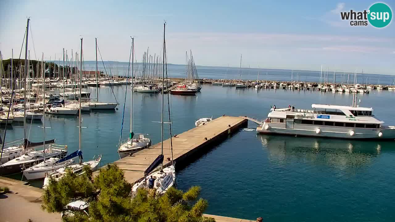 Webcam Sistiana – Pogled na marinu i zaljev