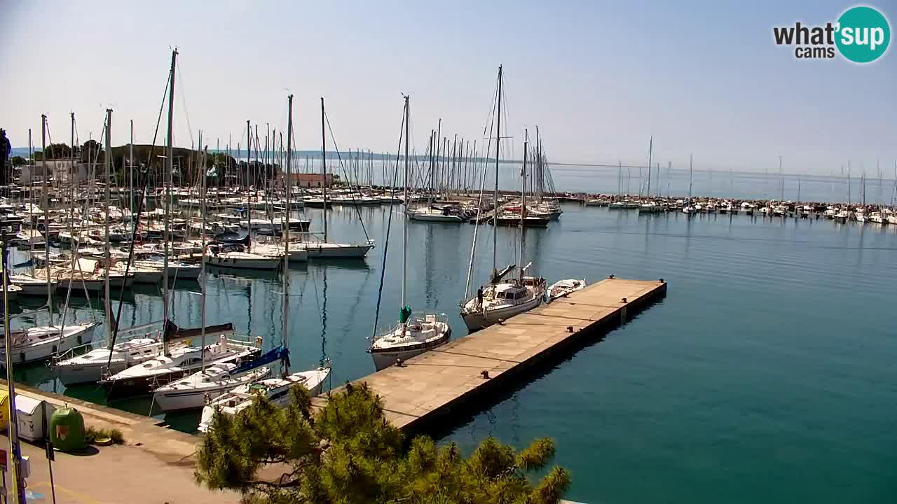 Webcam Sistiana – Blick auf Marina und Bucht