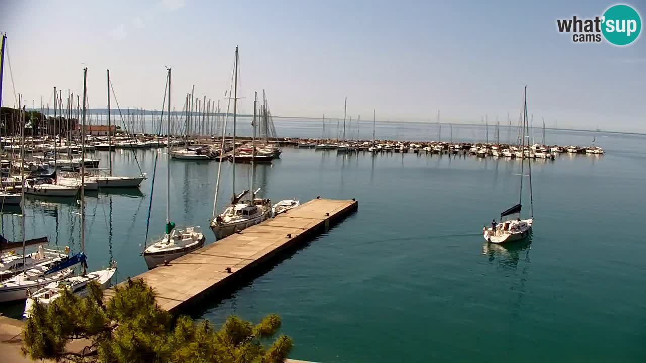 Webcam Sistiana – Vue sur la marina et la baie