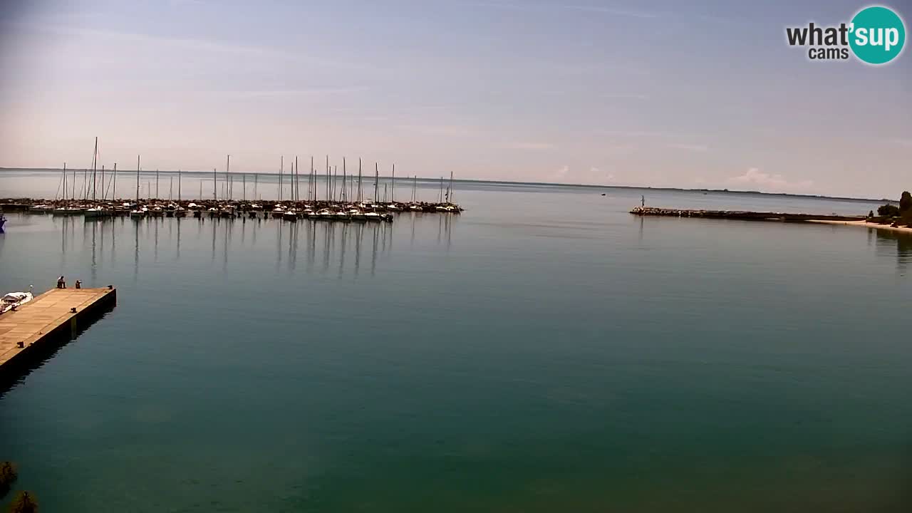 Spletna kamera Sesljan (Sistiana) – Pogled na marino in zaliv