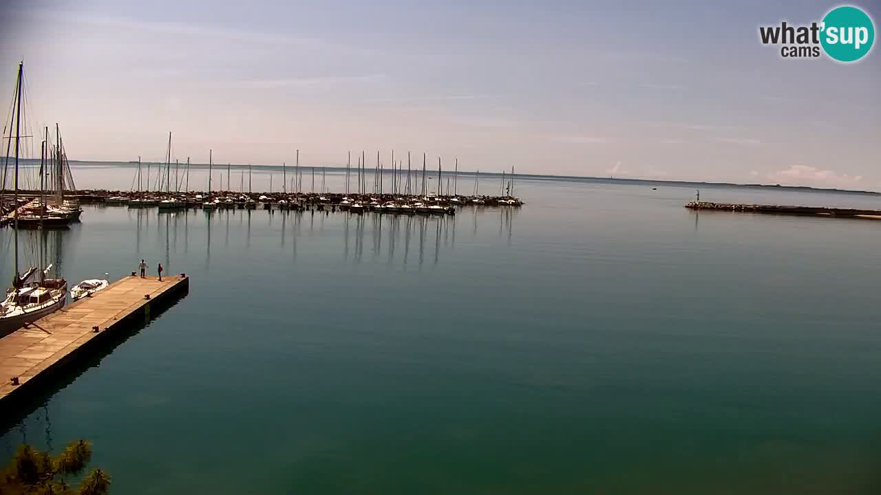 Webcam Sistiana – Marina and Bay Live View