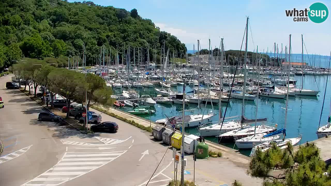 Webcam Sistiana – Marina and Bay Live View