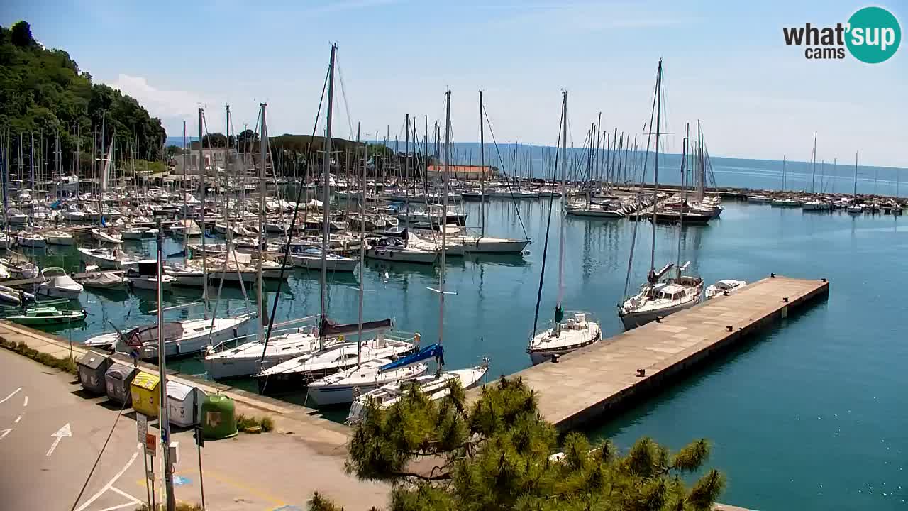 Webcam Sistiana – Marina and Bay Live View