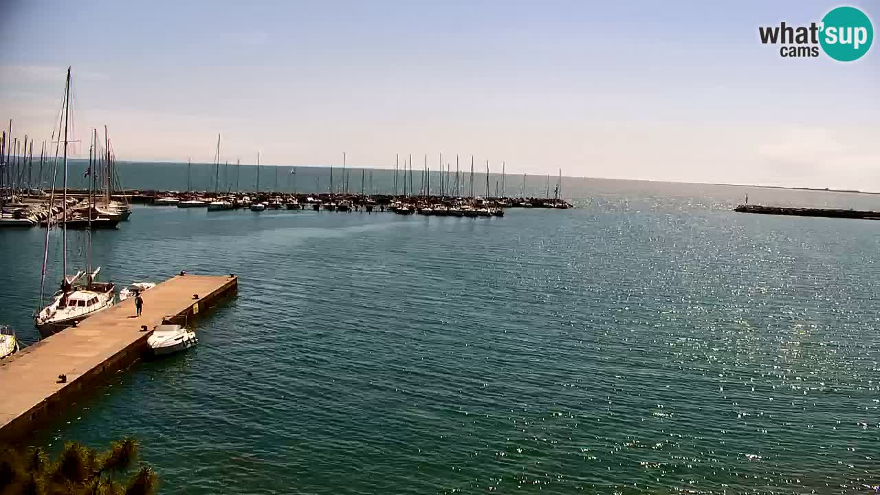 Webcam Sistiana – Marina and Bay Live View