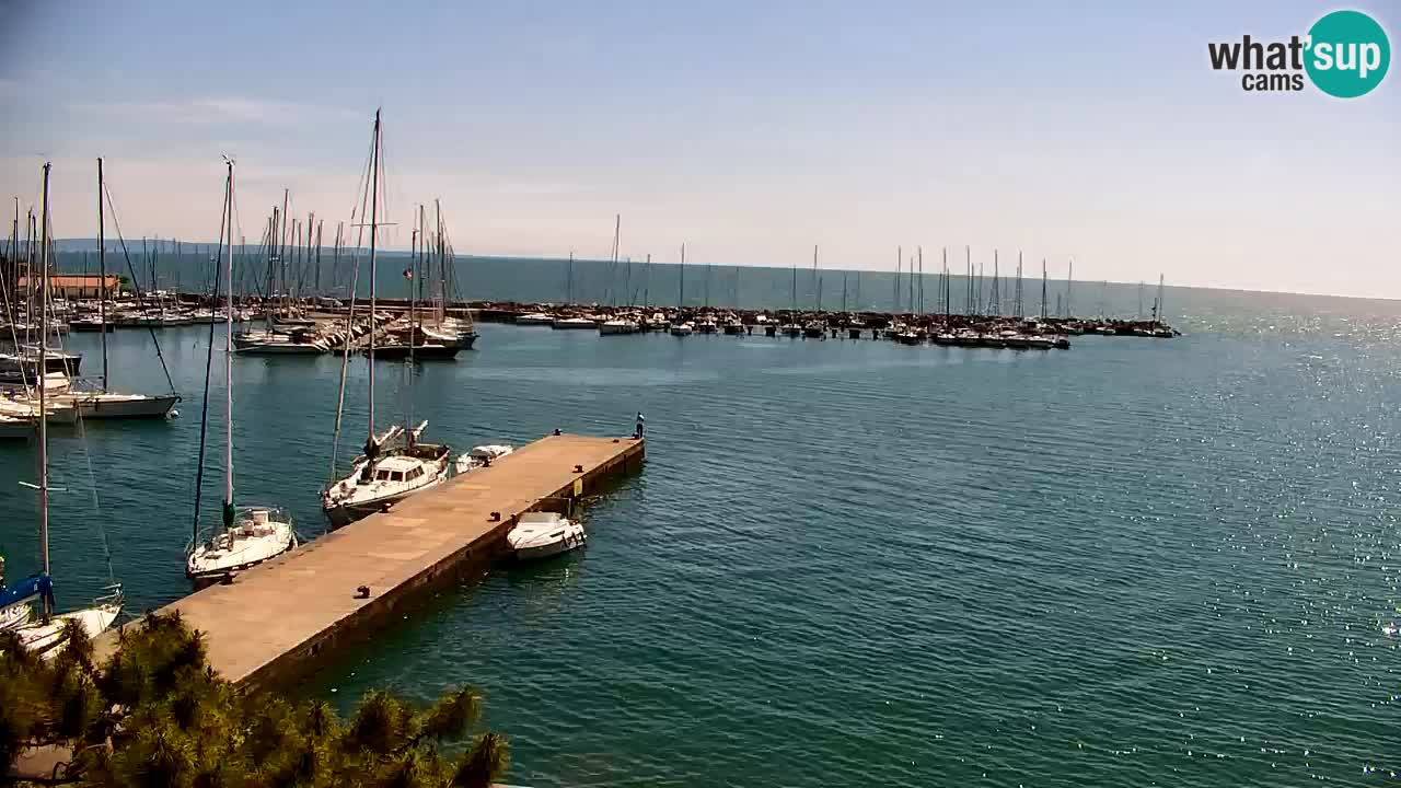 Webcam Sistiana – Marina and Bay Live View