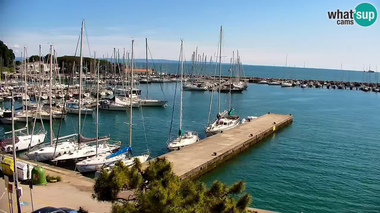 Webcam Sistiana – Marina and Bay Live View
