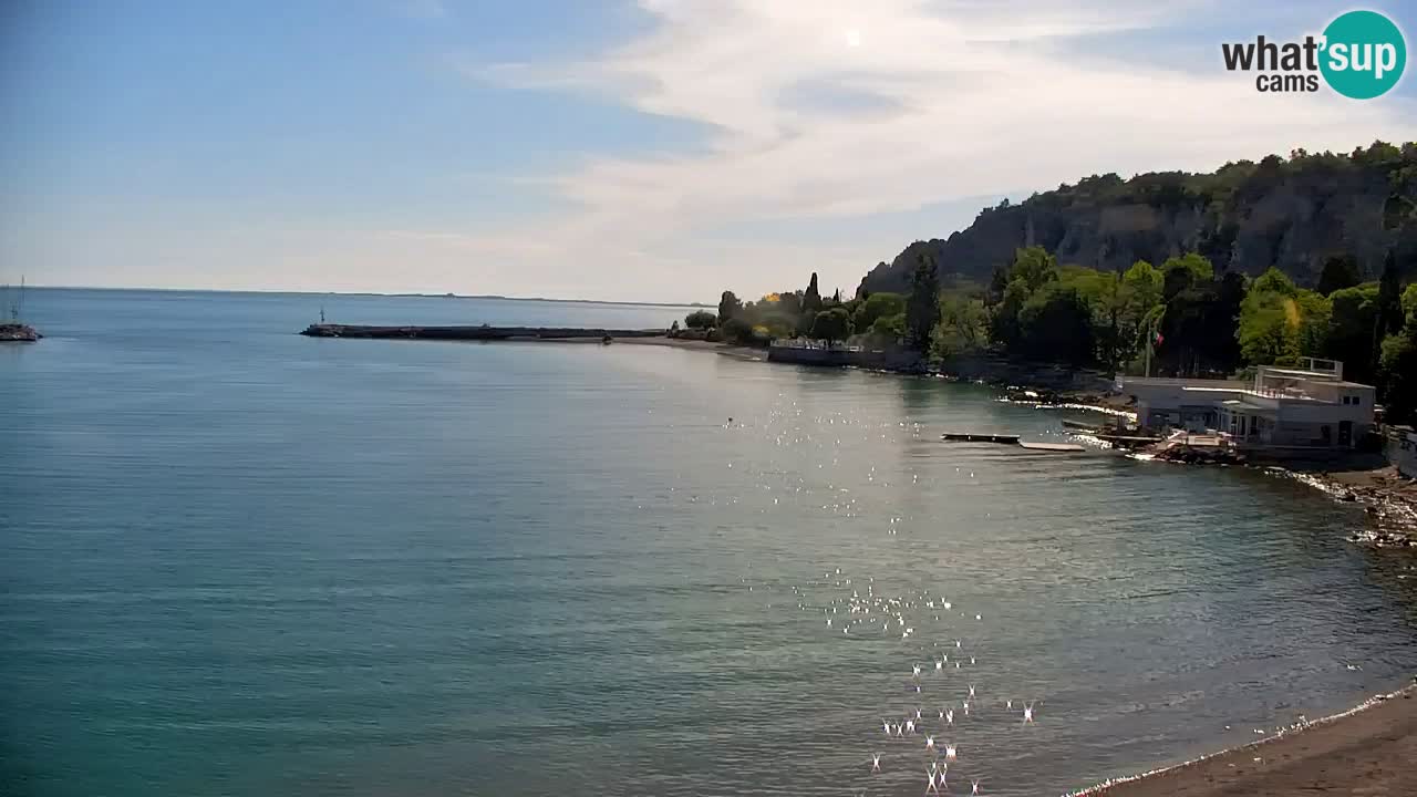 Webcam Sistiana – Vue sur la marina et la baie