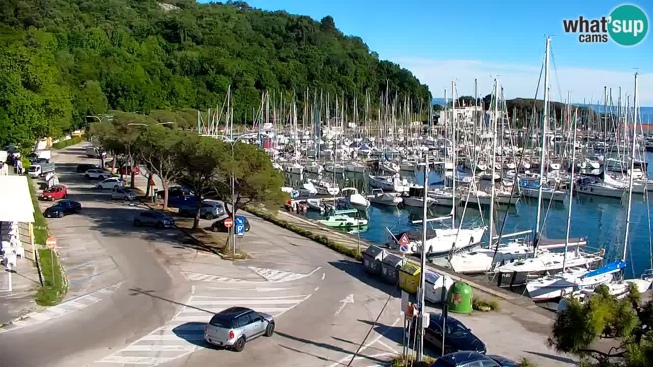 Webcam Sistiana – Marina and Bay Live View