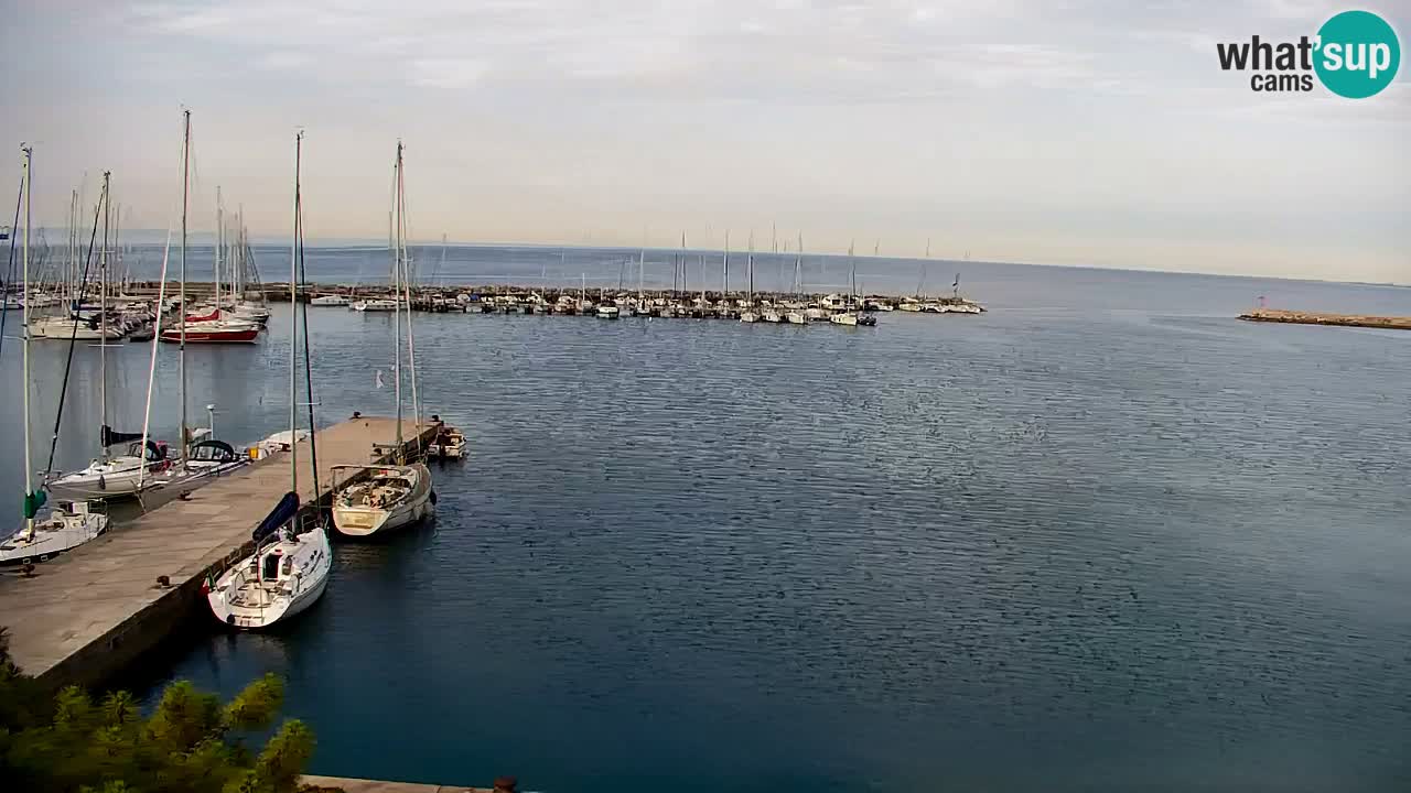 Webcam Sistiana – Marina and Bay Live View