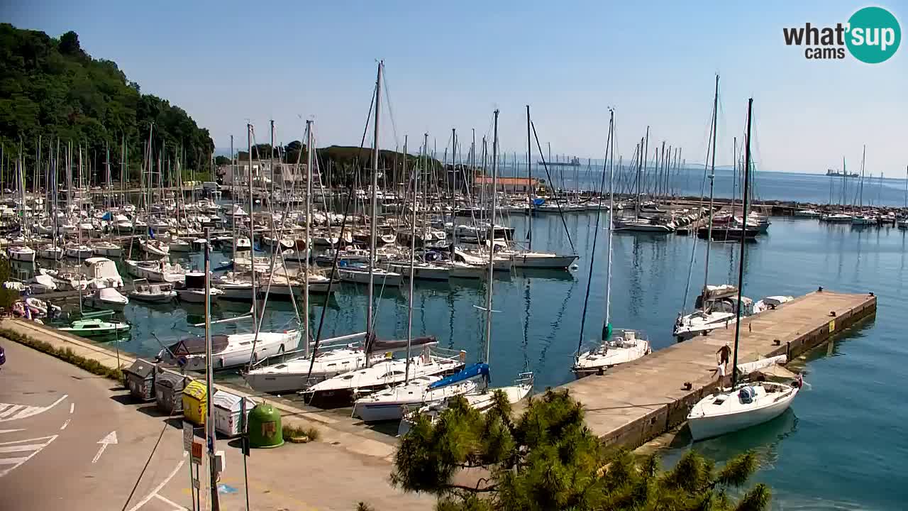 Webcam Sistiana – Marina and Bay Live View