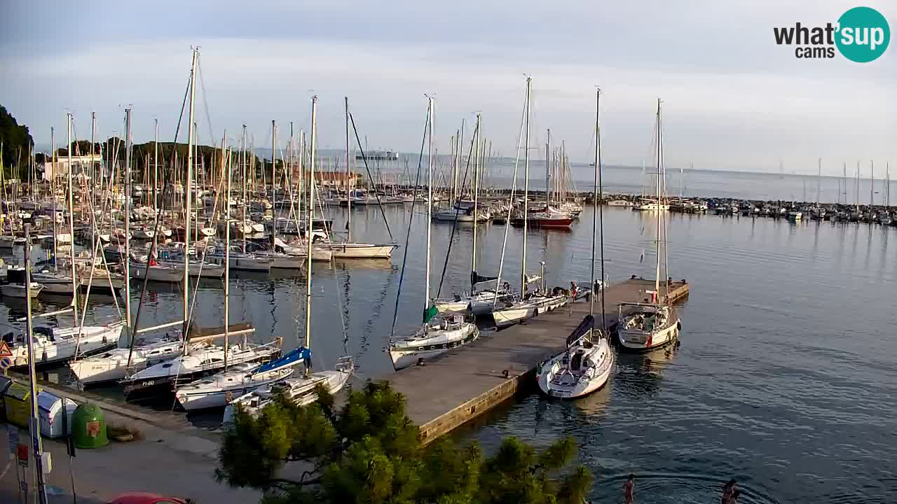 Webcam Sistiana – Marina and Bay Live View