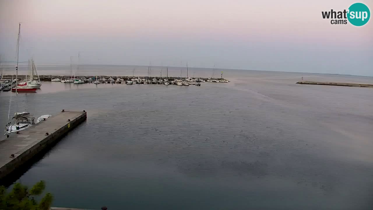 Webcam Sistiana – Pogled na marinu i zaljev