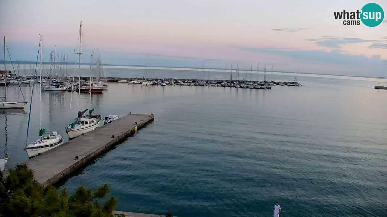 Webcam Sistiana – Vista sulla marina e sulla baia