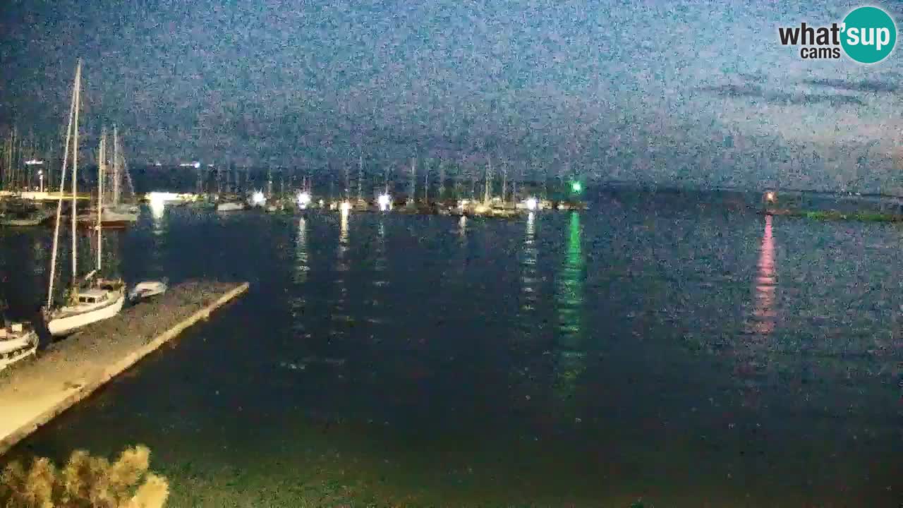 Webcam Sistiana – Marina and Bay Live View