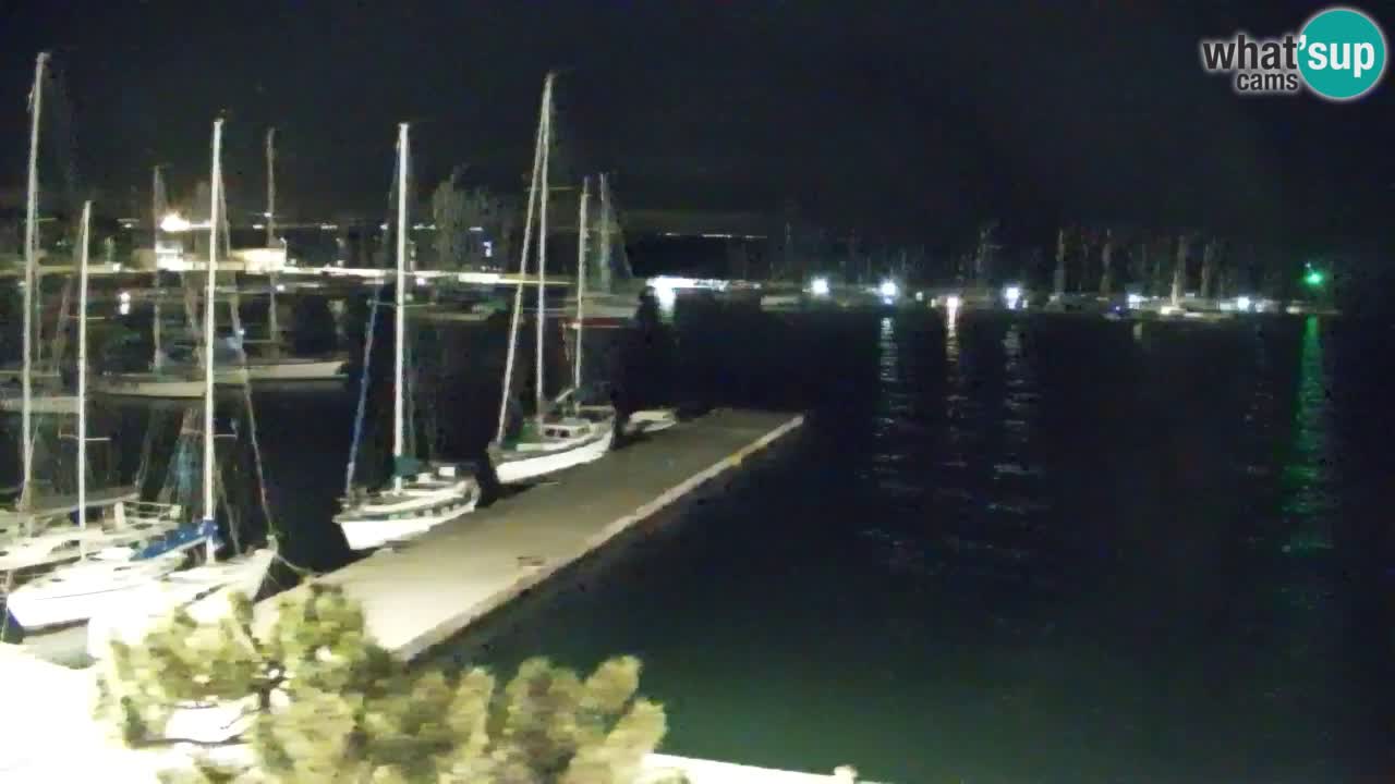 Webcam Sistiana – Pogled na marinu i zaljev