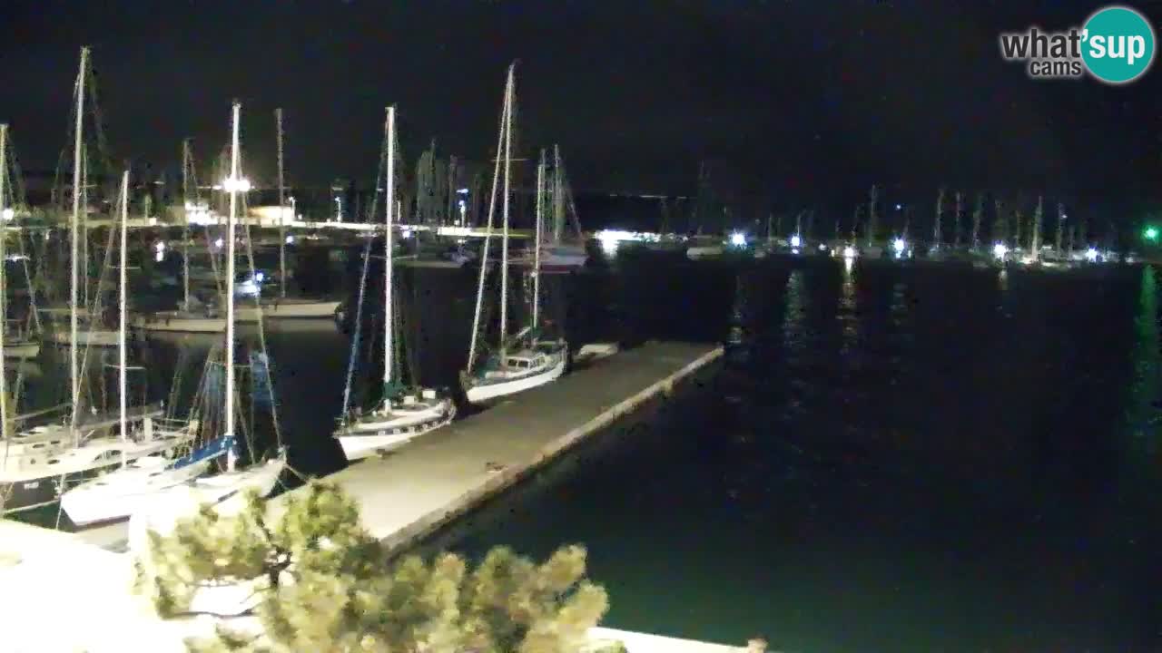 Spletna kamera Sesljan (Sistiana) – Pogled na marino in zaliv